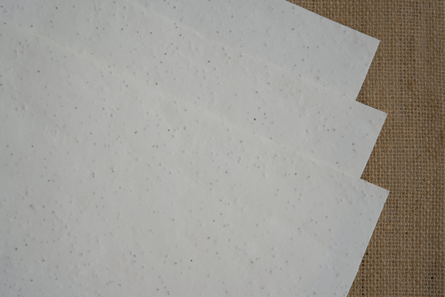 papel com sementes para plantar