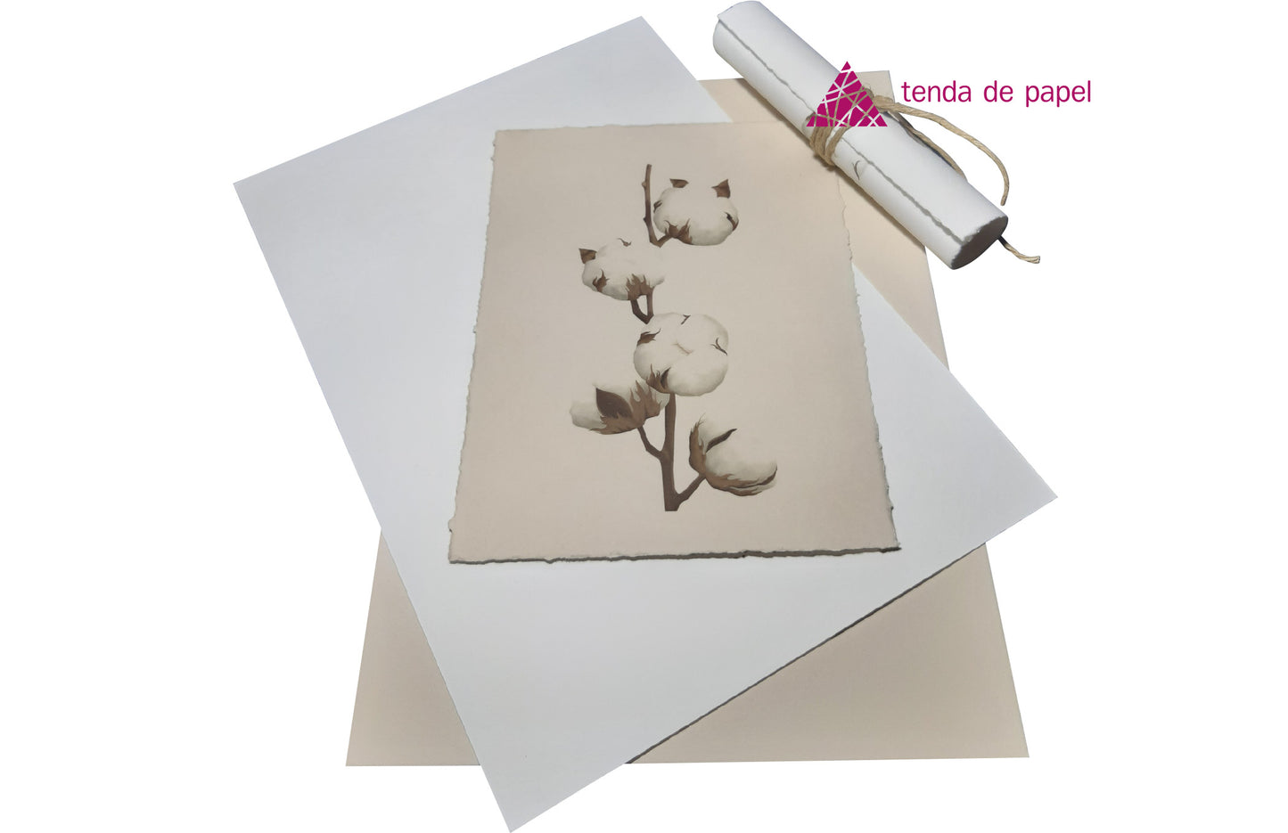 papel-algodao-barbado