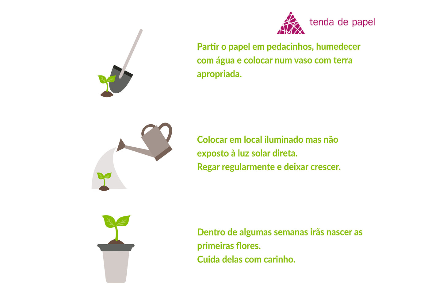 papel com sementes como plantar