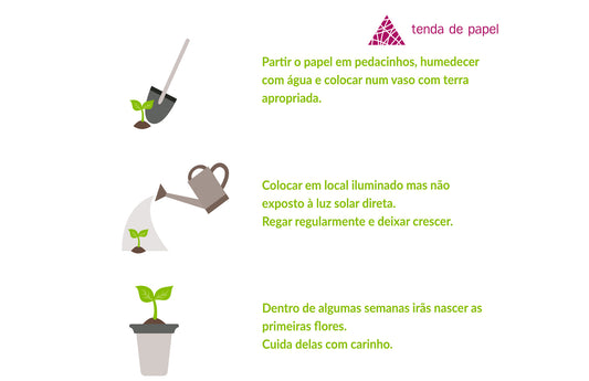 papel com sementes como plantar