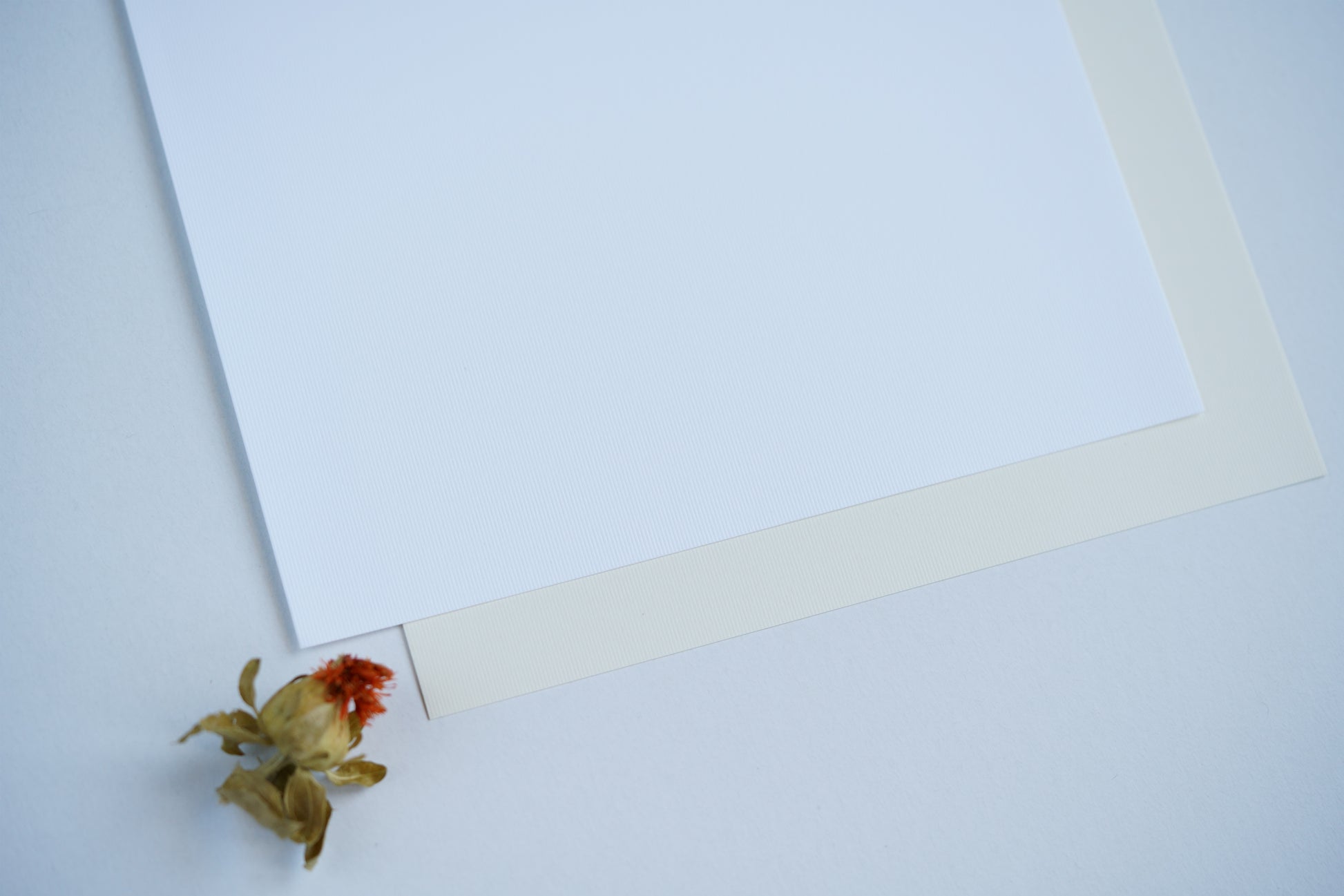 Papel vergé para convites nos tons Branco e Natural — textura com nervuras suaves, gramagem 240 gr., formato A4