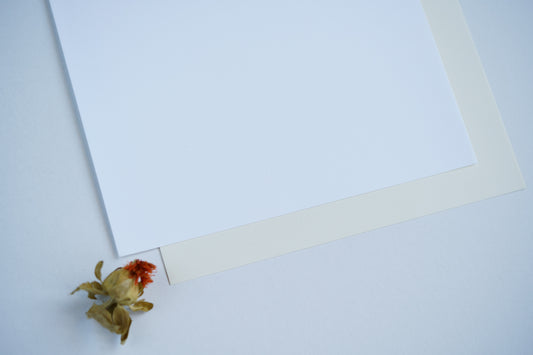 Papel vergé para convites nos tons Branco e Natural — textura com nervuras suaves, gramagem 240 gr., formato A4